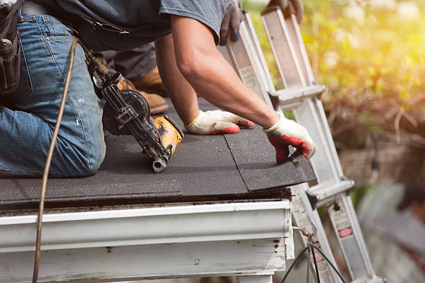 Best Roof Gutter Cleaning  in Danville, IA